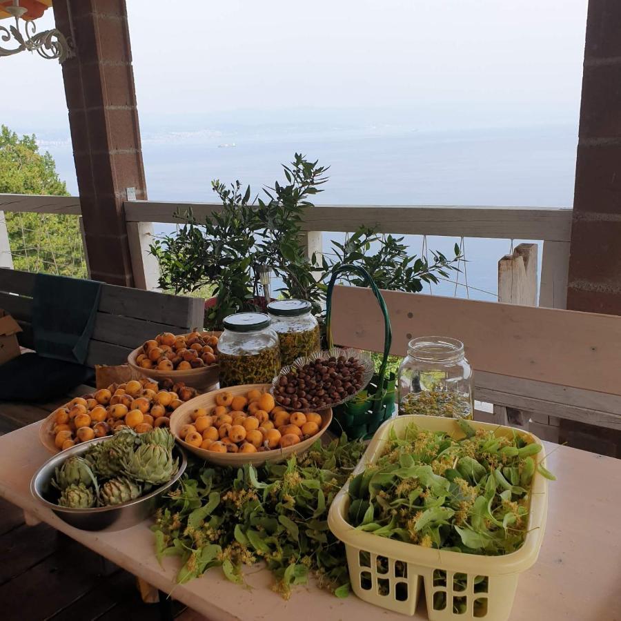 فيلا Mary'S Garden Tulisevica المظهر الخارجي الصورة