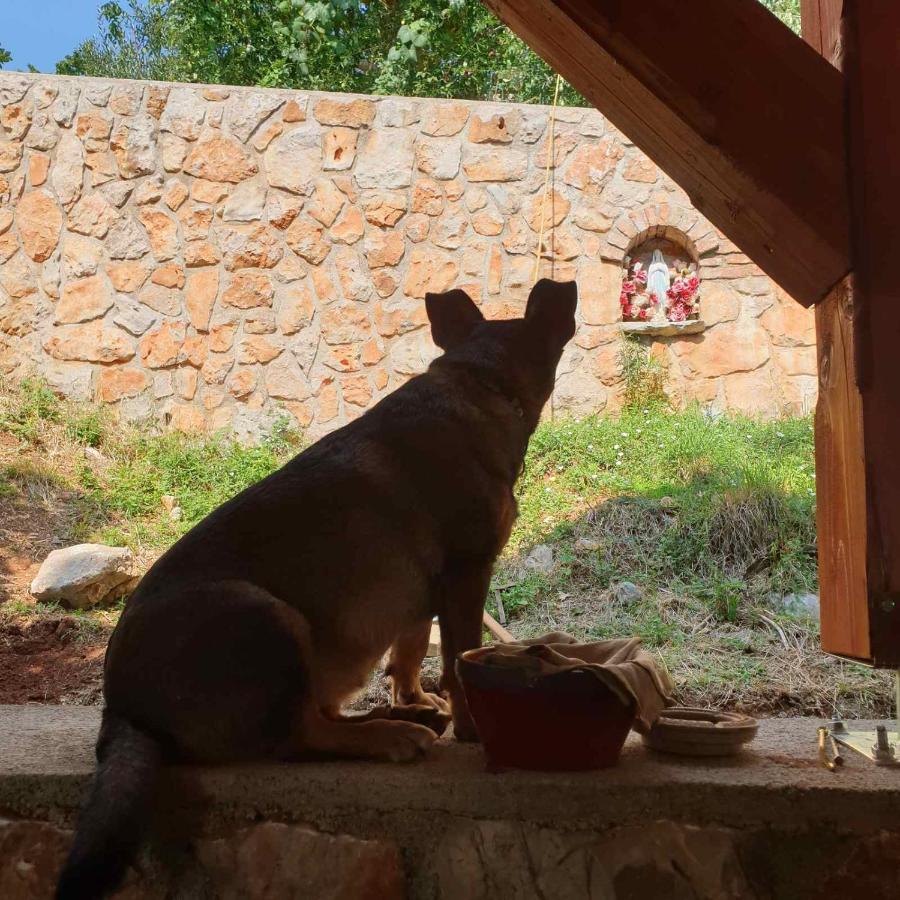 فيلا Mary'S Garden Tulisevica المظهر الخارجي الصورة