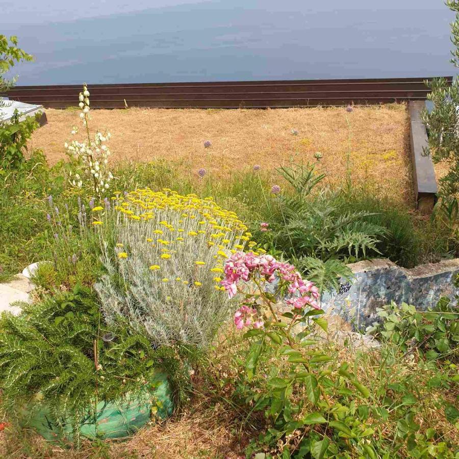 فيلا Mary'S Garden Tulisevica المظهر الخارجي الصورة