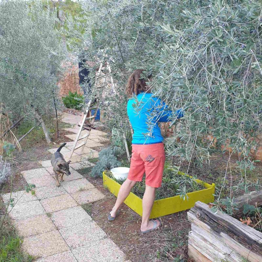 فيلا Mary'S Garden Tulisevica المظهر الخارجي الصورة