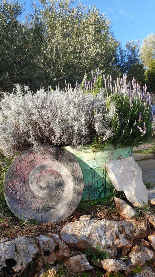 فيلا Mary'S Garden Tulisevica المظهر الخارجي الصورة
