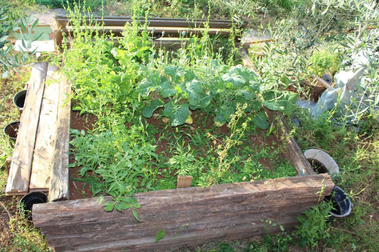 فيلا Mary'S Garden Tulisevica المظهر الخارجي الصورة