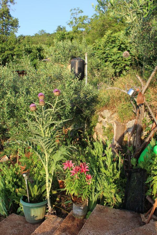 فيلا Mary'S Garden Tulisevica المظهر الخارجي الصورة