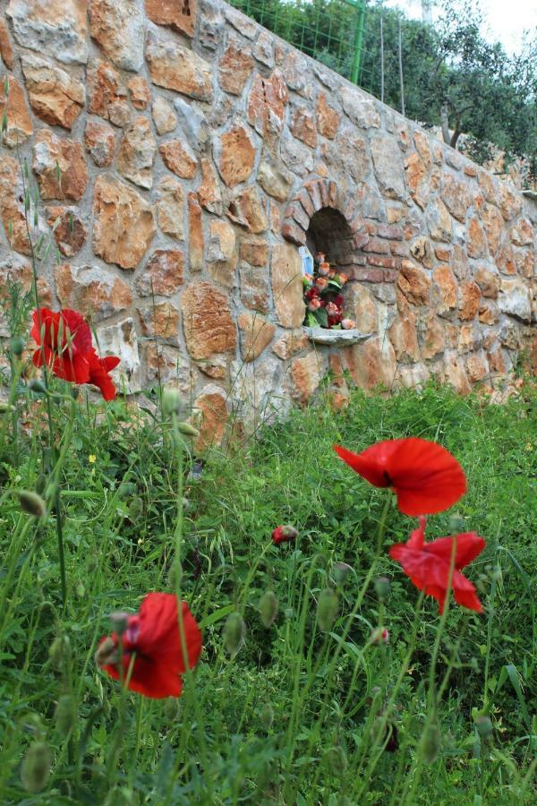 فيلا Mary'S Garden Tulisevica المظهر الخارجي الصورة
