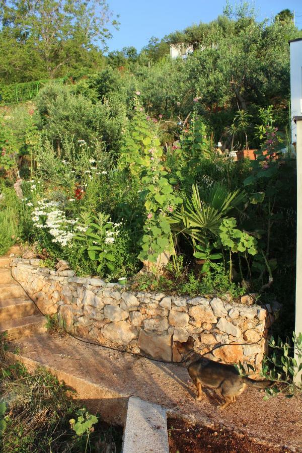 فيلا Mary'S Garden Tulisevica المظهر الخارجي الصورة